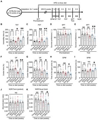 Inflammation-activated C/EBPβ mediates high-fat diet-induced depression-like behaviors in mice